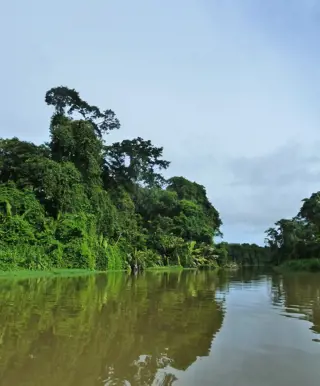 Mit dem Kajak durch den Tortuguero Nationalpark